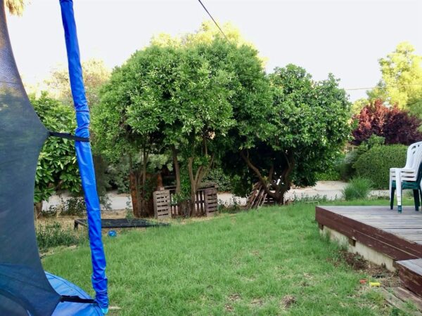 ⁦צמוד קרקע ביסוד המעלה⁩ – תמונה ⁦11⁩